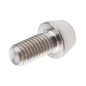 RS PRO Bright Zinc Titanium Hex Socket Cap Screw M5 x 10 mm, Grade 10.9, DIN 912 227-6855