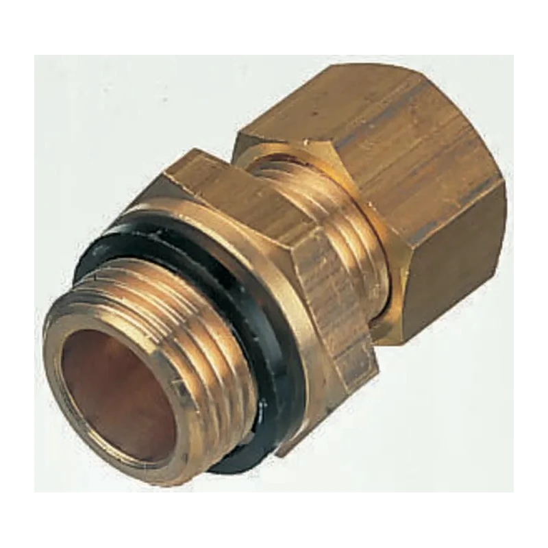 Legris Pneumatic Brass Compression Coupler Pipe Fitting Male G 1/2 in to Female 1/2 in 0101 12 21