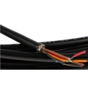 STEGO Female 4 Way M12 Sensor Actuator Cable, Straight to Wire Board Receptacle, 24V, 5 m 244446