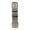 Mersen 6A GG Ceramic Cartridge Fuse 8 x 32 mm, 400V AC, Ferrule Fuse-Links A211025 / FR8GG40V6