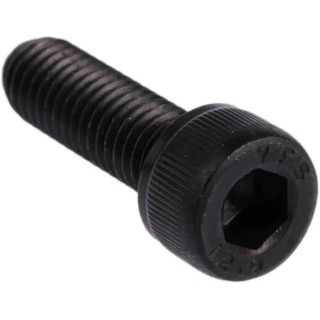 RS PRO Plain Steel Hex Socket Cap Screw, Hex Socket Drive, Thread M8, Length 25 mm 529-725