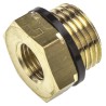 Legris Pneumatic Fitting Brass Pipe Fitting, Straight BSPP BSPP Reducer, Male G 1/2 in to Female BSPP 1/4 in 0168 21 13