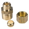 Legris Pneumatic Brass Pipe Fitting Compression Coupler Male BSPT 1/2 in to Female 1/2 in 0105 10 21