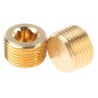 Legris Pneumatic Fitting Brass Pipe Fitting Threaded Plug Male R 3/8 in 0205 17 00