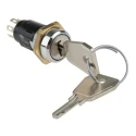 Lorlin Key Switch, Double Pole Change Over 5A 2-Position Common Key Round Bezel SRL5KS2850
