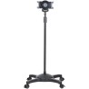 StarTech.com Mobile Tablet Stand Tilt Adjustable TAA Compliant STNDTBLTMOB