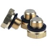 Legris Brass Blanking Plug G Thread Standard 1/8 in, Outside Diameter 28mm 0220 10 00