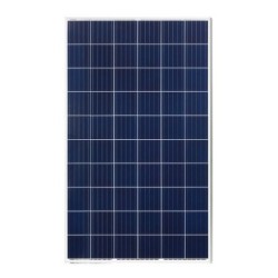 24v-renewsys-330wp-polycrystalline-modules-6150