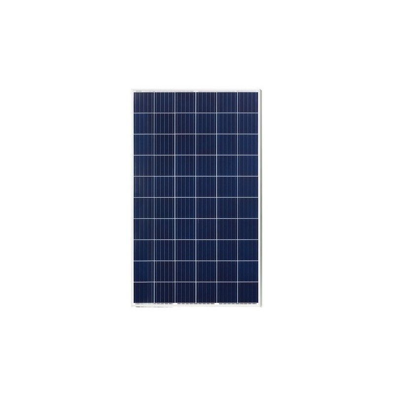 24v-renewsys-330wp-polycrystalline-modules-6150