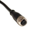 Mueller Electric Female 5-way Straight to Unterminated Sensor Actuator Cable 5 m BU-1669848