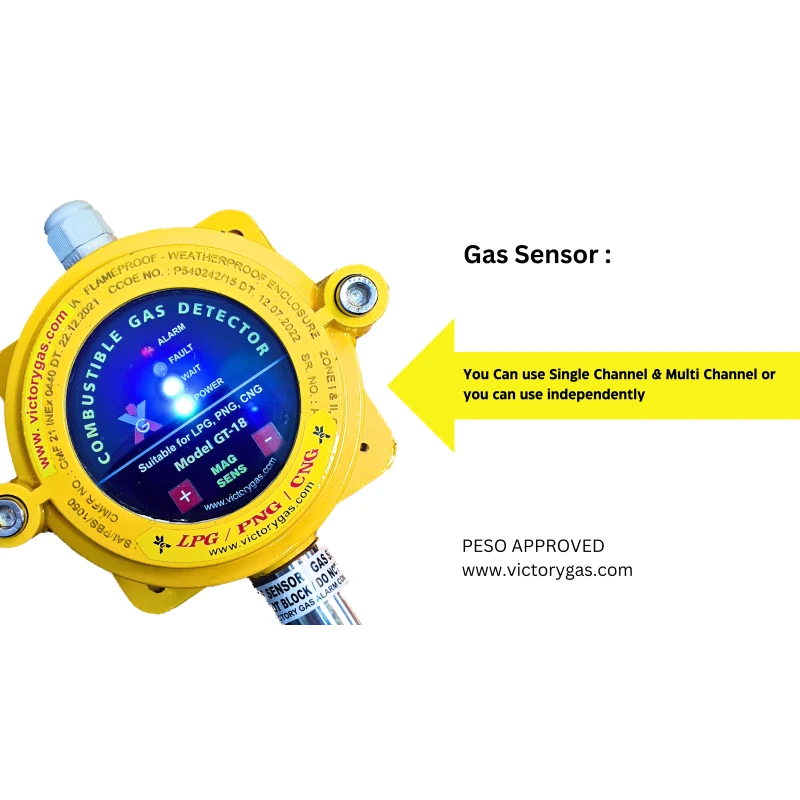 Buy Combustible Gas Detector GT 18 for LPG, PNG, CNG online