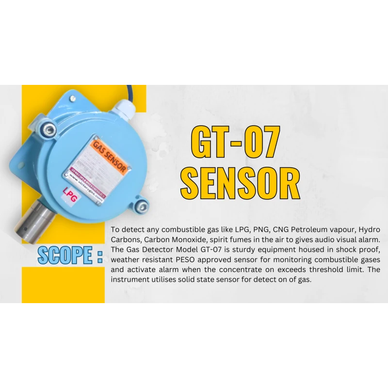 Single & Dual Channel Gas Detector, 0-100% LEL, 220V