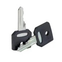 Schneider Electric Key Switch Key for XB4 et XB5 Series Compatible with Harmony Selector Switches ZBG458A