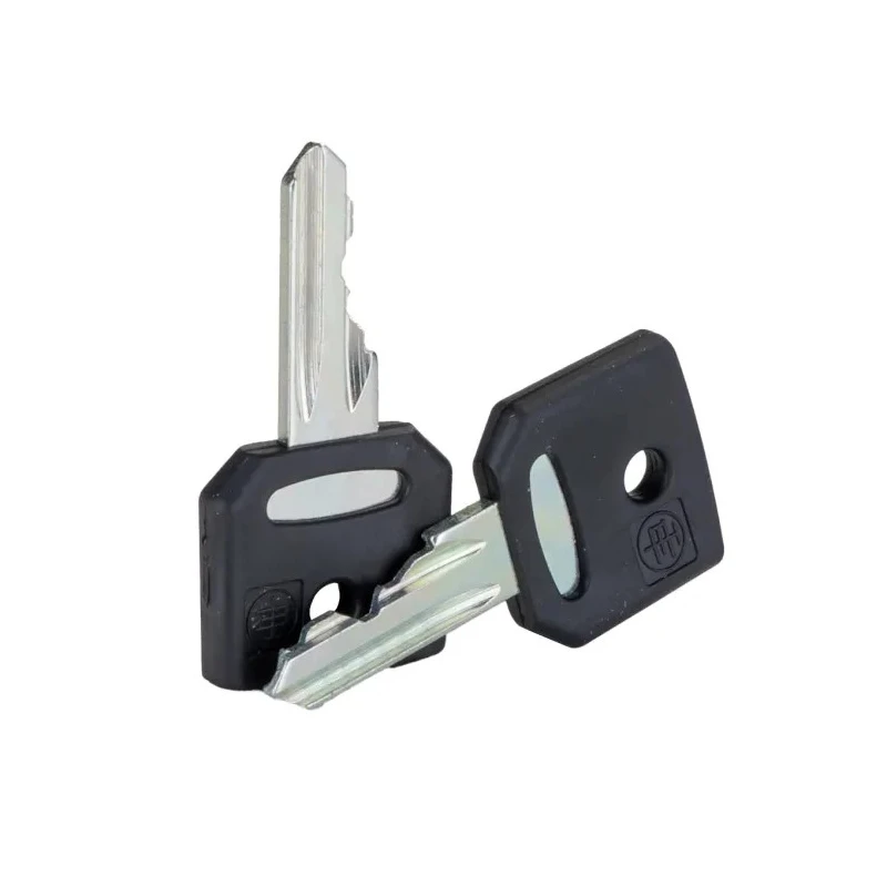 Schneider Electric Key Switch Key for XB4 et XB5 Series Compatible with Harmony Selector Switches ZBG458A