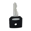 Schneider Electric Key Switch Key for XB4 et XB5 Series Compatible with Harmony Selector Switches ZBG458A