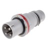 Scame Optima IP44 Red Cable Mount 3P+PE Straight Industrial Power Connector 63A 415V IP44