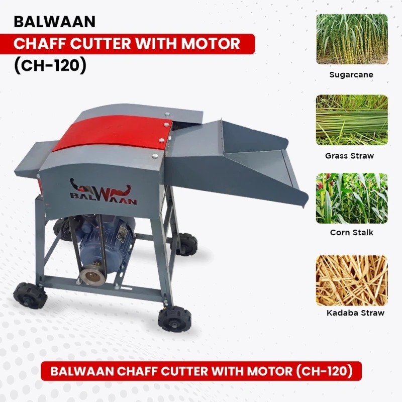 Buy Balwaan CH-120 Chaff Cutter with Motor at Lowest Prices
