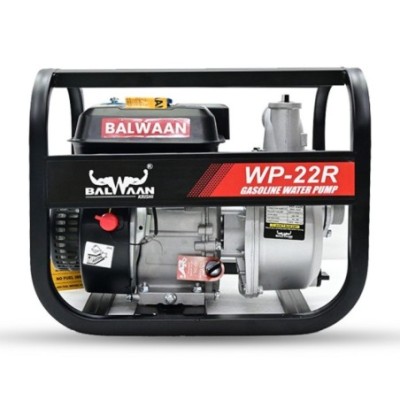 Buy Balwaan WP-22R 7HP Water Pump Get Best Deal