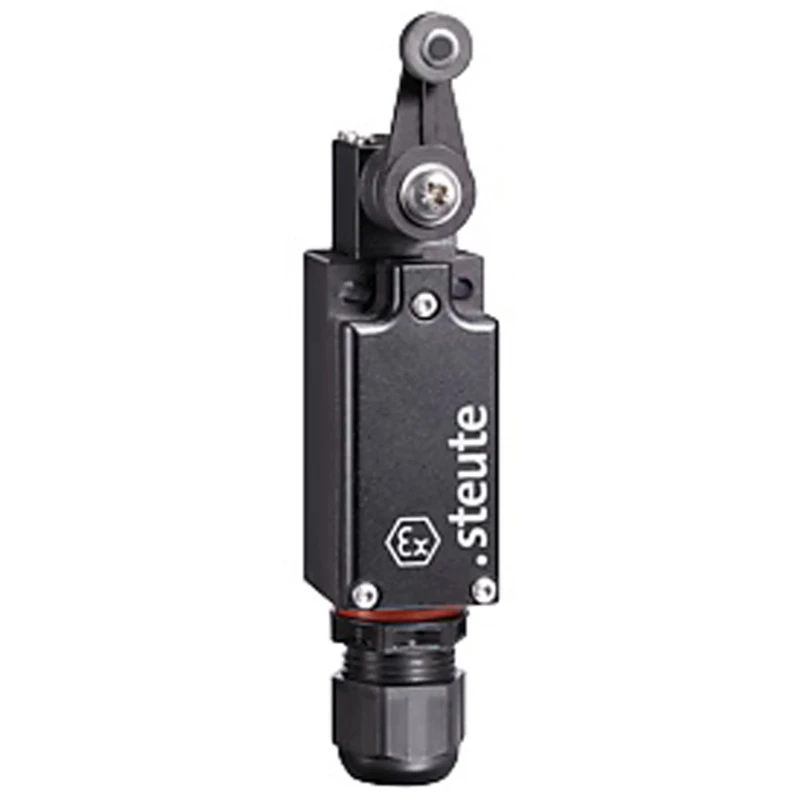 Steute Ex 97 Series Lever Limit Switch DPST IP66 IP67 IP69 Fibreglass Reinforced Thermoplastic Housing Ex ES 97 D 11 -60 c