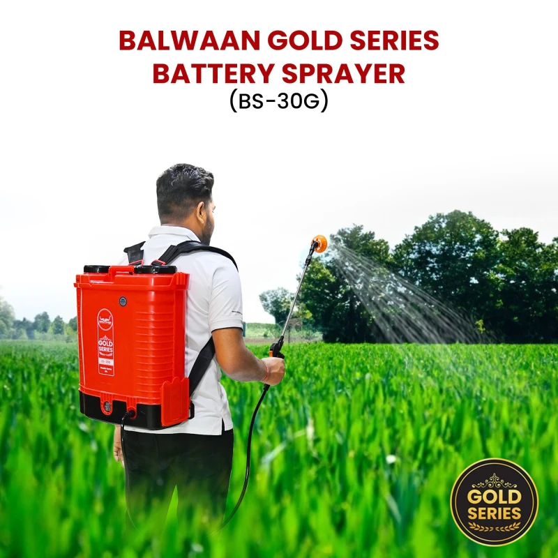 Shop Balwaan BS-30G Double Motor Sprayer at Lowest Prices