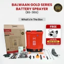 Shop Balwaan BS-30G Double Motor Sprayer at Lowest Prices