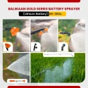 Buy Balwaan BS-30GL Double Motor Sprayer at Lowest Prices