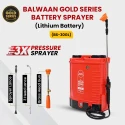 Buy Balwaan BS-30GL Double Motor Sprayer at Lowest Prices