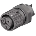 Wieland RST MINI Series Panel Mount Mini Connector Female Screw 3-Pole 16A 400V IP69 IP68 IP66 46.031.5053.1