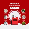 Buy Balwaan BS-16M Manual Sprayer 16L at Lowest Prices