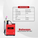 Buy Balwaan BS-16M Manual Sprayer 16L at Lowest Prices