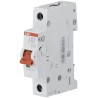 ABB 1-Pole DIN Rail Isolator Switch, IP40/IP20, 32A, Screw Terminal, Grey Handle, Series SD201 2CDD281101R0032 SD201/32