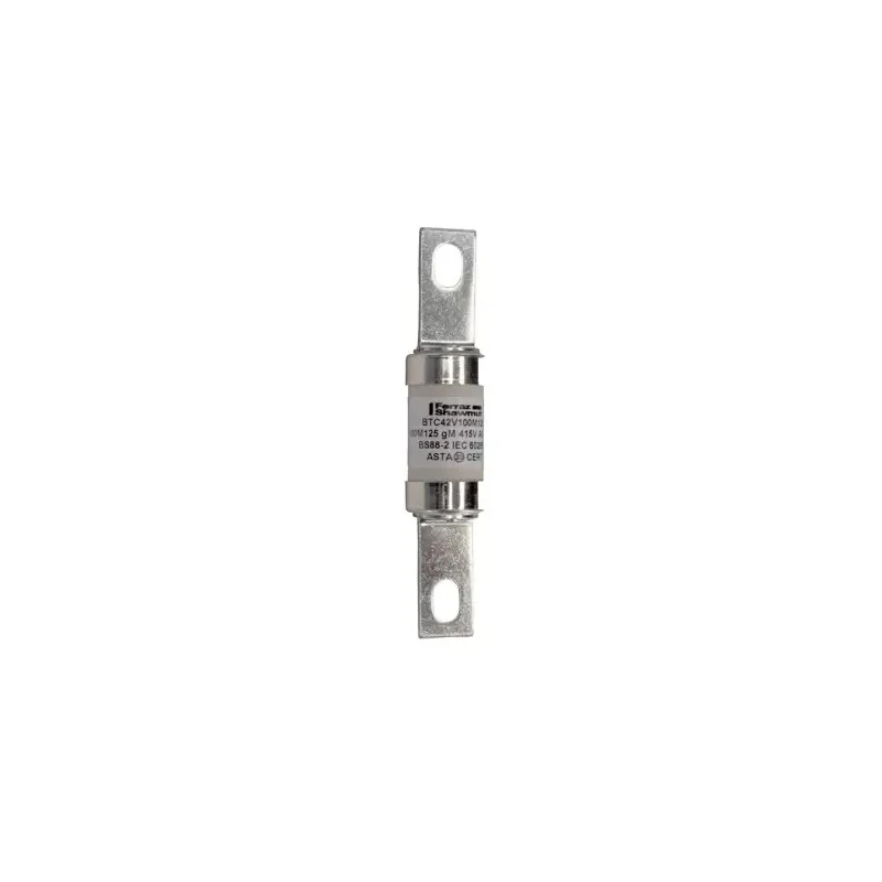 Mersen 100A Bolted Tag Fuse B1C 415V AC Tag Width 19.5mm, Fixing Centres 111 mm Q226311 / BTC42V100M125