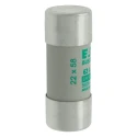 Eaton 63A AM Ceramic Cartridge Fuse 22 x 58 mm 690V AC C22M63
