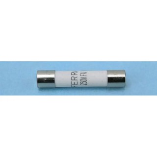 Mersen 1A FF Ceramic Cartridge Fuse 6.3 x 32 mm 250V AC Super Fast Acting K084304 / MI6FA25V1