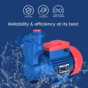 Buy Crompton Mini Master Plus Pump Online at Best Prices