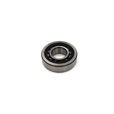 INA Cylindrical Roller Bearing with Plastic Cage, 25 mm Inside Diameter, 62 mm Outside Diameter, Open End NJ305-E-XL-TVP2