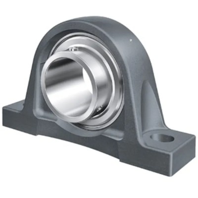 INA Plummer Block House, Cast Iron, 16 mm Inside Diameter, 30.2 mm Centre Height, 125 mm Length RASEY16-XL