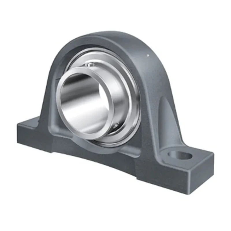 INA Plummer Block House, Cast Iron, 16 mm Inside Diameter, 30.2 mm Centre Height, 125 mm Length RASEY16-XL