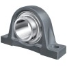 INA Plummer Block House, Cast Iron, 16 mm Inside Diameter, 30.2 mm Centre Height, 125 mm Length RASEY16-XL