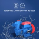 Buy Crompton Domestic Monoblock Pump Mini Master Series online