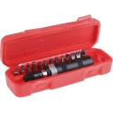 Teng Tools Screwdriver Bit Set Square Drive, Phillips, Hex, Torx, Steel, 6.35 mm, 15 Pieces ID515