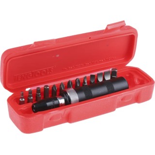 Teng Tools Screwdriver Bit Set Square Drive, Phillips, Hex, Torx, Steel, 6.35 mm, 15 Pieces ID515