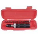 Teng Tools Screwdriver Bit Set Square Drive, Phillips, Hex, Torx, Steel, 6.35 mm, 15 Pieces ID515