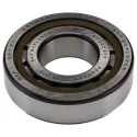 SKF Single-Row Cylindrical Roller Bearing with 35 mm Inside Diameter, 80 mm Outside Diameter, 21 mm Race Width NJ 307 ECP