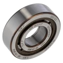 SKF Cylindrical Roller Bearing 17 mm ID 40 mm OD Non-Metallic Cage Shielded NUP 203 ECP