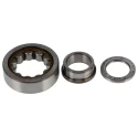 SKF Cylindrical Roller Bearing 17 mm ID 40 mm OD Non-Metallic Cage Shielded NUP 203 ECP