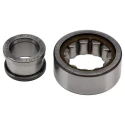 SKF Roller Bearing, 17 mm ID, 40 mm OD, 16 mm Race Width, Non-Metallic Cage, Shielded, Limiting Speed 22000 rpm NUP 2203 ECP