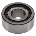 SKF Roller Bearing, 17 mm ID, 40 mm OD, 16 mm Race Width, Non-Metallic Cage, Shielded, Limiting Speed 22000 rpm NUP 2203 ECP
