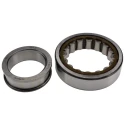 SKF Roller Bearing 65 mm Inside Diameter 120 mm Outside Diameter Shielded Single Row NUP 2213 ECP