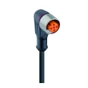 Lumberg Automation Female 5 way Right Angle to Free End Sensor Actuator Cable, 5 m RKWT 5-87/5M